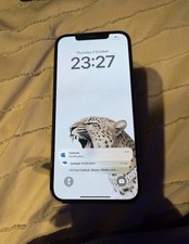 iPhone 12 Pro Max Gold 256gb