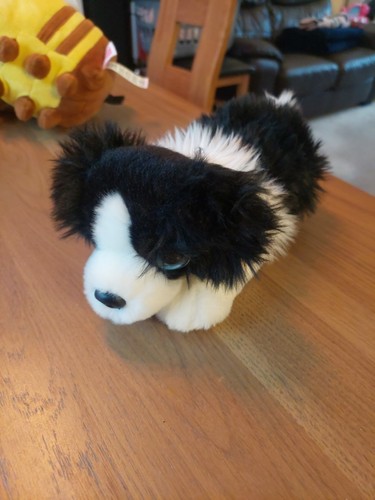 Keel toys cuddle - puppies, plush