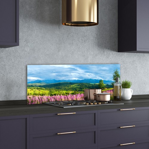 Kitchen glass splashback - glass,