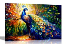 Peacock forest colourful - peacock, in