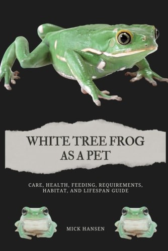 White tree frog pet - tree, care