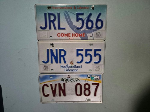 License plate trio - license,