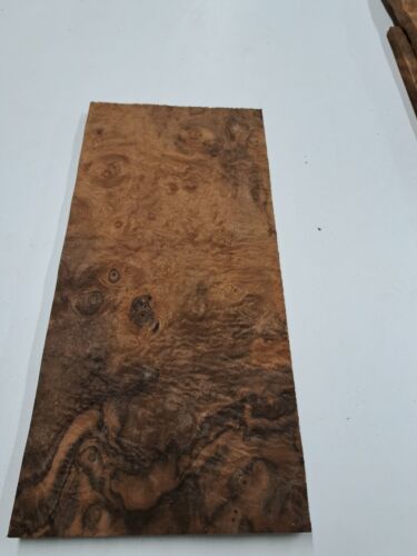 Burr walnut veneer 1 - walnut,