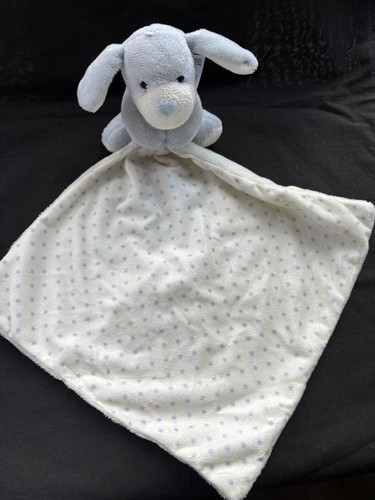 Marks spencer puppy - puppy, dog