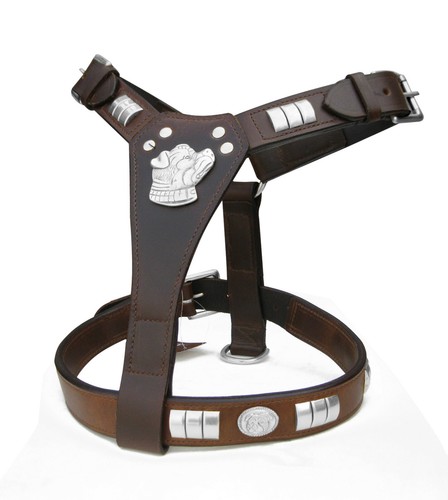 Staffy designer leather dog - staffy,