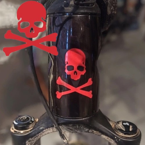 Skull skeleton car decal - car,