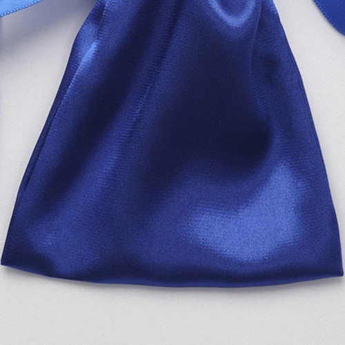 2pcs satin handbag - handbag, bags