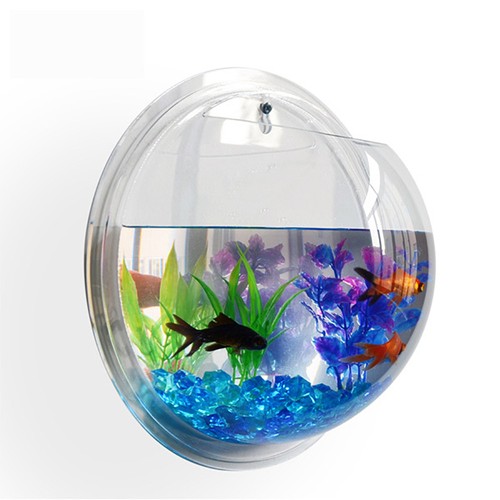 New wall mounted fish - fish, tank