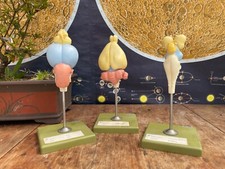 Vintage 3 SOMSO VERTEBRATE BRAINS anatomical educational school didactic model