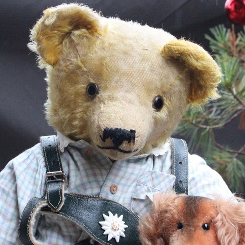Antique rudolf haas teddy bear - haas,