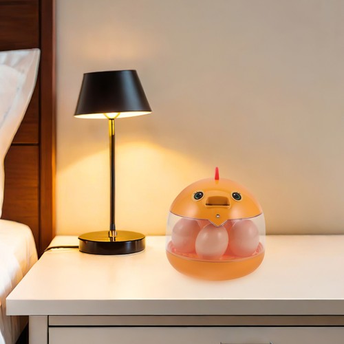 Beginner egg incubator - beginner,