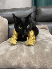 HULK Hands For Cats small