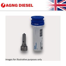 Delphi Injection Nozzle Valve