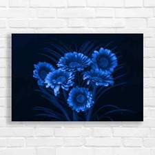 Vibrant Floral Gerbera Daisy