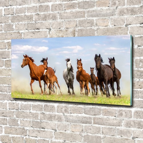 Glass picture wall art print