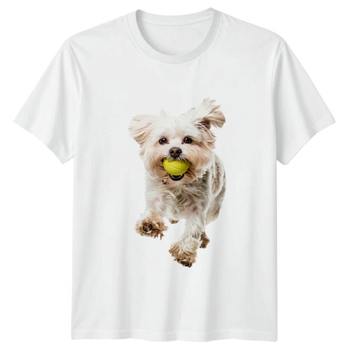Dog catching tennis ball - tennis,