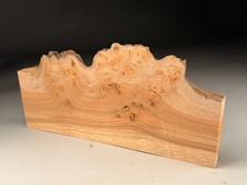 Burr Elm Resin Live Edge