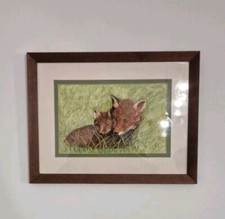 Vintage Fox watercolour paintings framed 