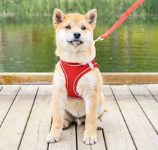 Dog Harness Soft Adjustable