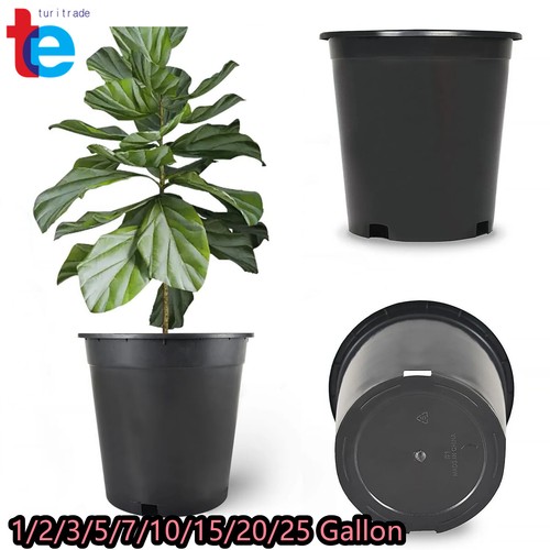 Garden plant plastic - garden,
