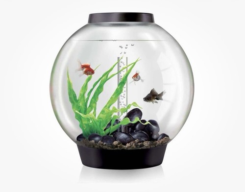 Biorb classic 60l - classic,