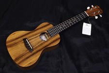 New ISLANDER / AC-4 Concert