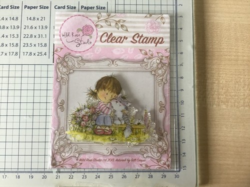 Wild rose studio clear - wild,