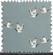Sophie Allport Mallard Ducks