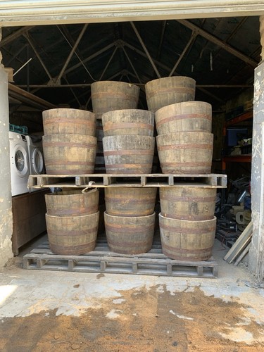 Oak barrel planters 25 - , £25