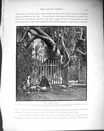 Antique old print - antique,