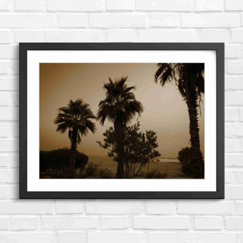 Vibrant purple sunset palm - vibrant,