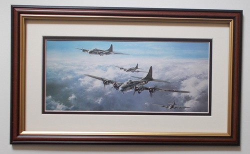 Aircraft print memphts - aircraft,
