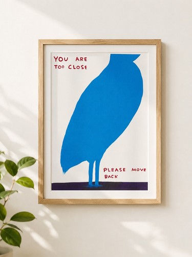 David shrigley bird art - david,