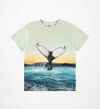 Molo Rame T-Shirt Boys Size 5