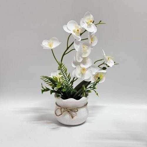 Phalaenopsis orchid fake - phalaenopsis,