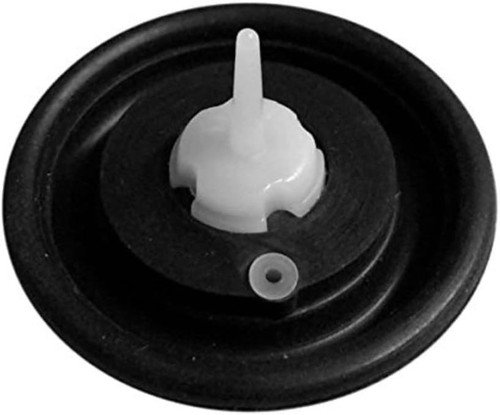 Silver diaphragm inlet - diaphragm,