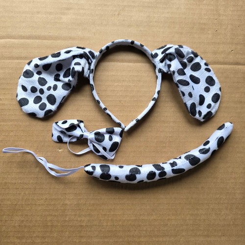 Dalmatian dog fancy - dog,