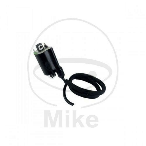 Ignition coil 12v 700 - ignition,