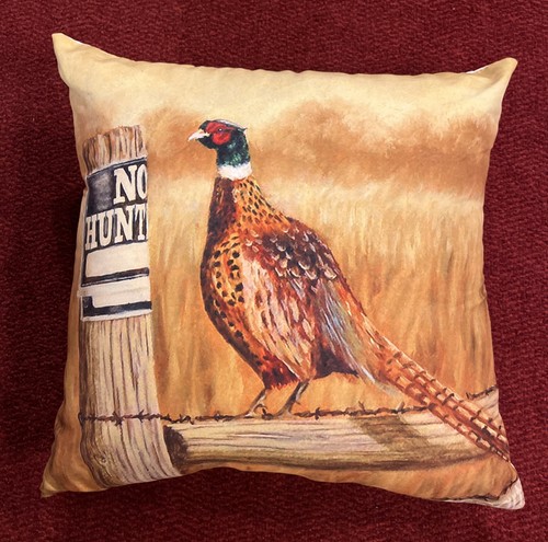 Pheasant new male gorgeous - -,