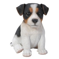 NEW Tricolour Jack Russell Dog
