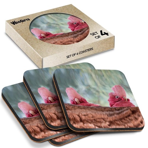 Square mdf coaster - coaster, bird