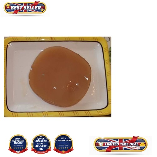Organic scoby for kombucha - scoby,