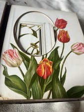 Victorian CDV & Cabinet Card Photograph Album Painted Pages Antique Photos