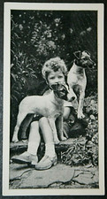 SMOOTH FOX TERRIER PUPPIES & CHILD   Vintage 1936 Photo Card  KE18M
