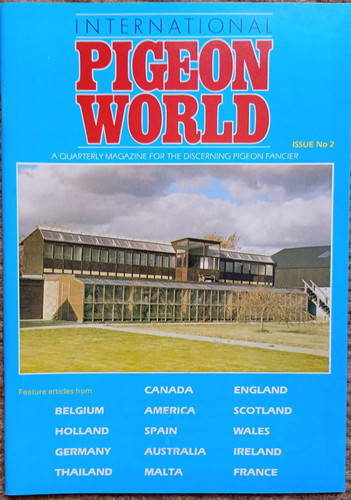 International pigeon world - pigeon,