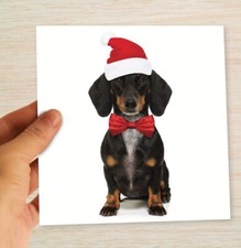 Dachshund Christmas Cards &