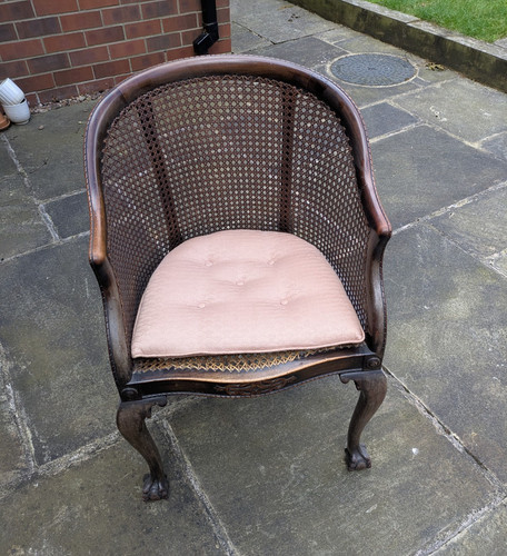 Dark wood rattan cane - wood,