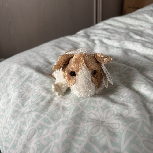 Beanie baby twitch guinea - baby,