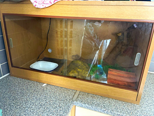 Wooden reptile vivarium - wooden,