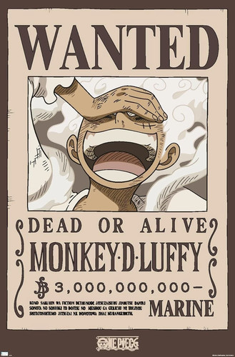 One piece poster monkey - one, d